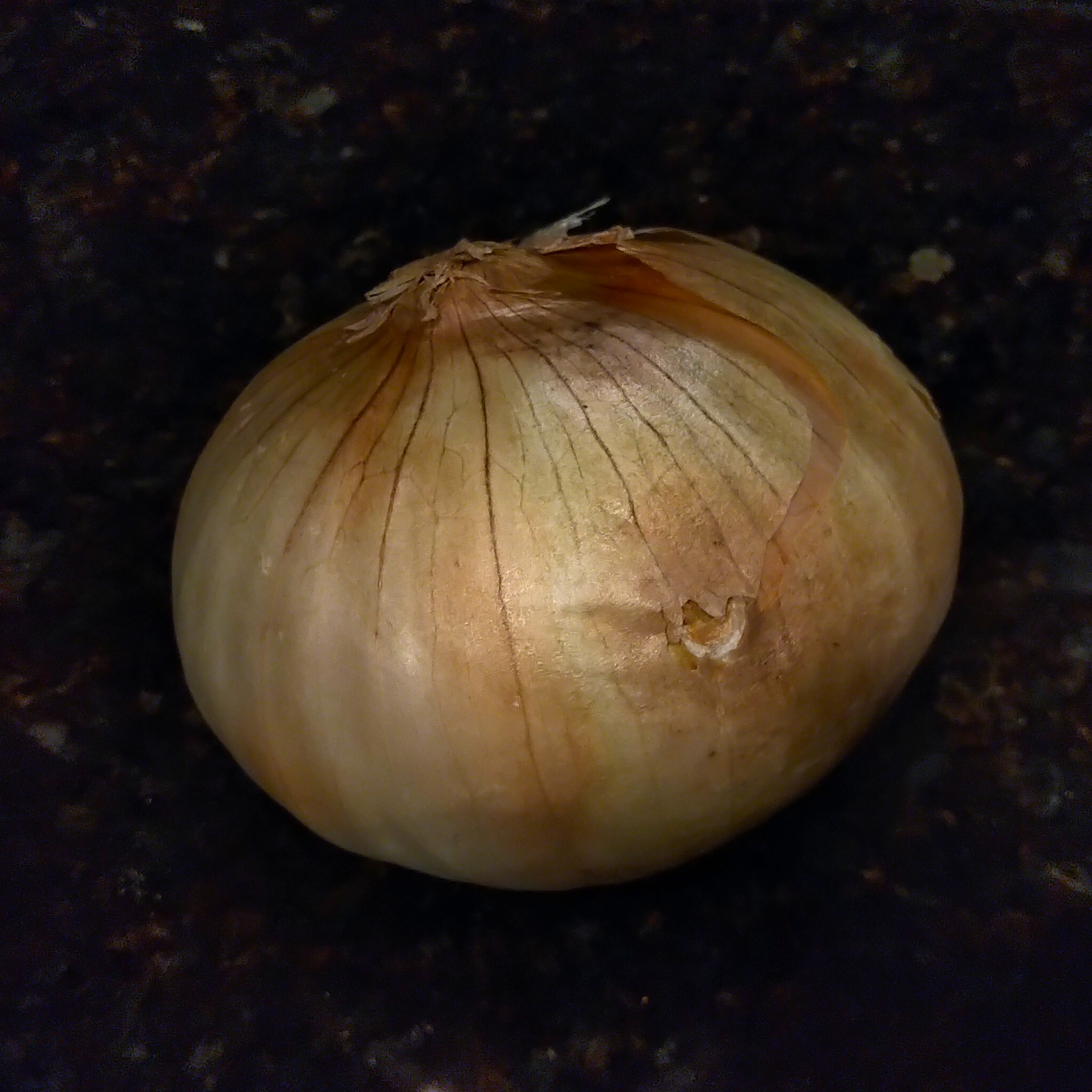 Onion